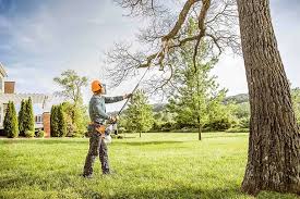 Trusted Gateway, AK Tree Services Experts